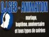 dj seb a pleyben (animations)